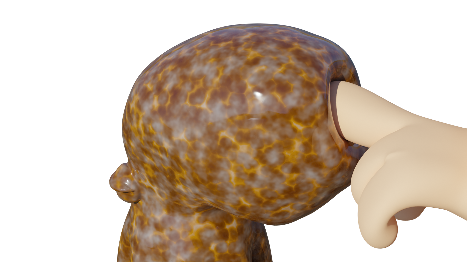 Finger sliding on an octopus head